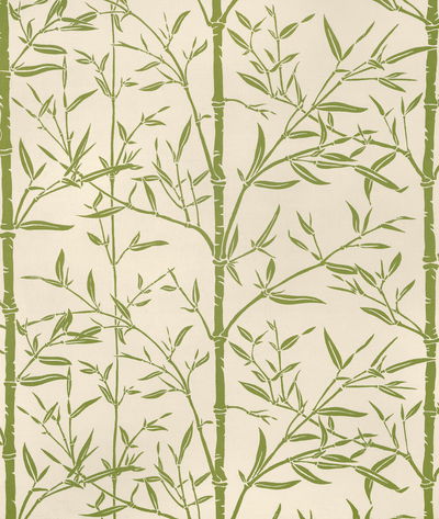 Kravet Hs Bamboo Cactus Fabric